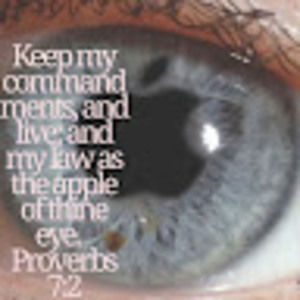 Meet your Posher, Henry